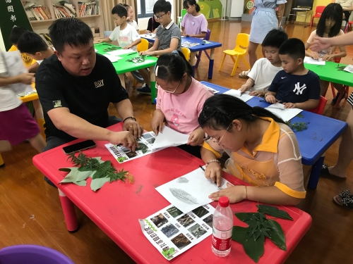 【蛟川东信路】0917采自然印记 留美好记忆2.jpg